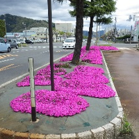 道路事例