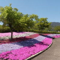 公園事例