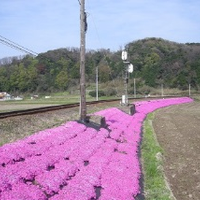 鉄道事例