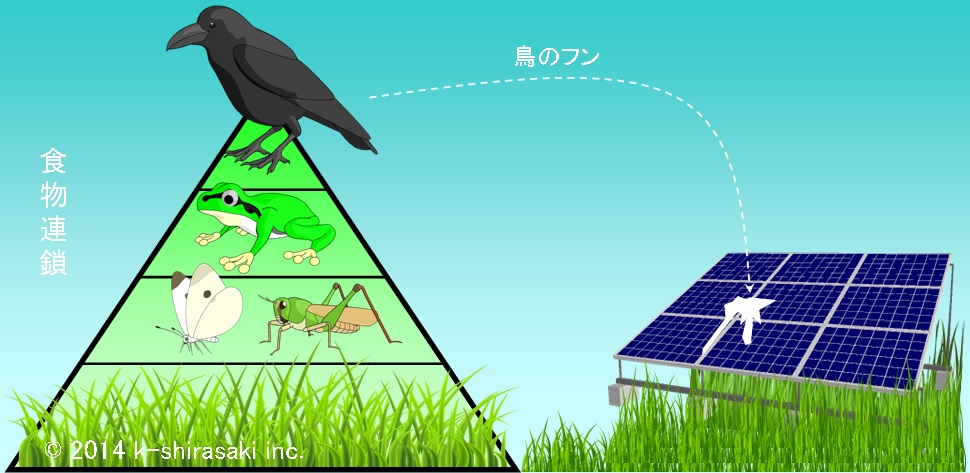 食物連鎖と太陽光発電