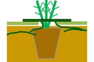 Image ueanatape feature03