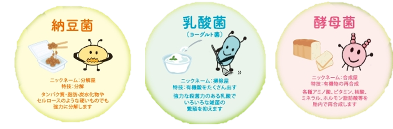 seibun